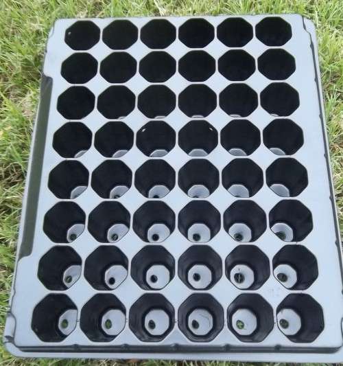 Other Gardening Supplies SEEDLING TRAYS 48 DIVISION 40 SEED TRAYS